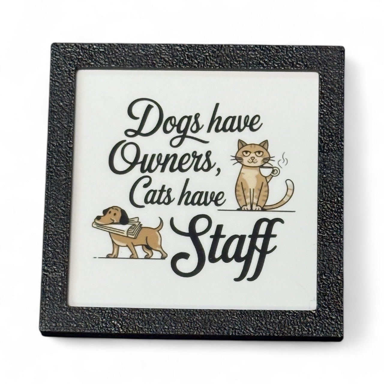 Dogs Have Owners Cats Have Staff | Magnet